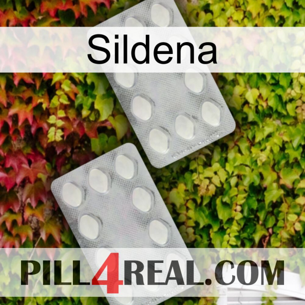 Sildena 17.jpg